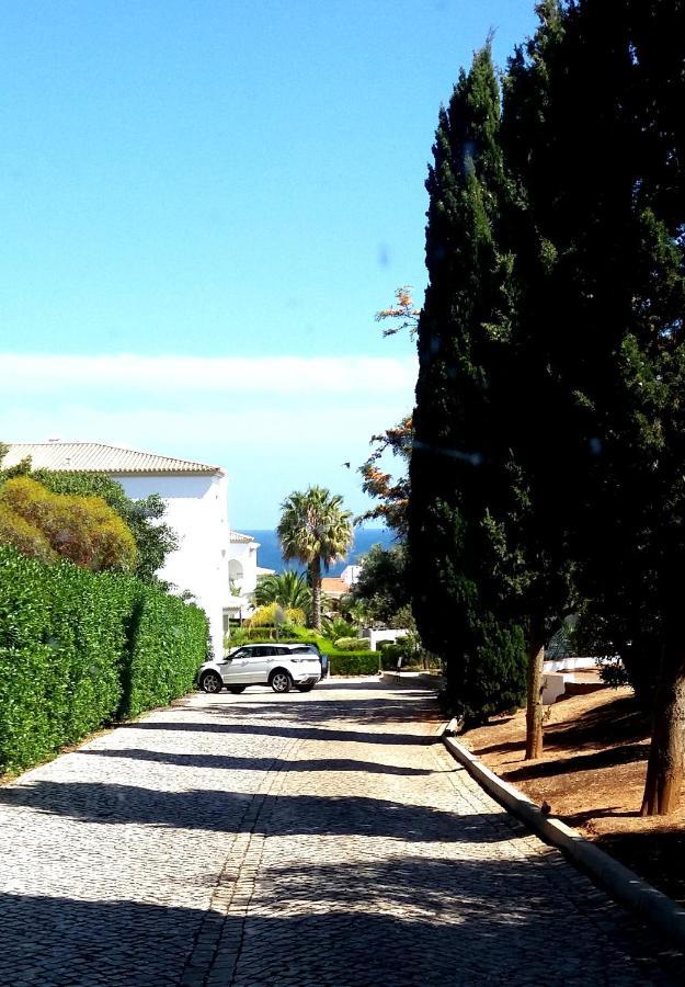 Queen Palm Praia Da Luz Exterior photo